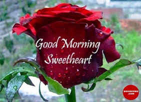 Good Morning Romantic